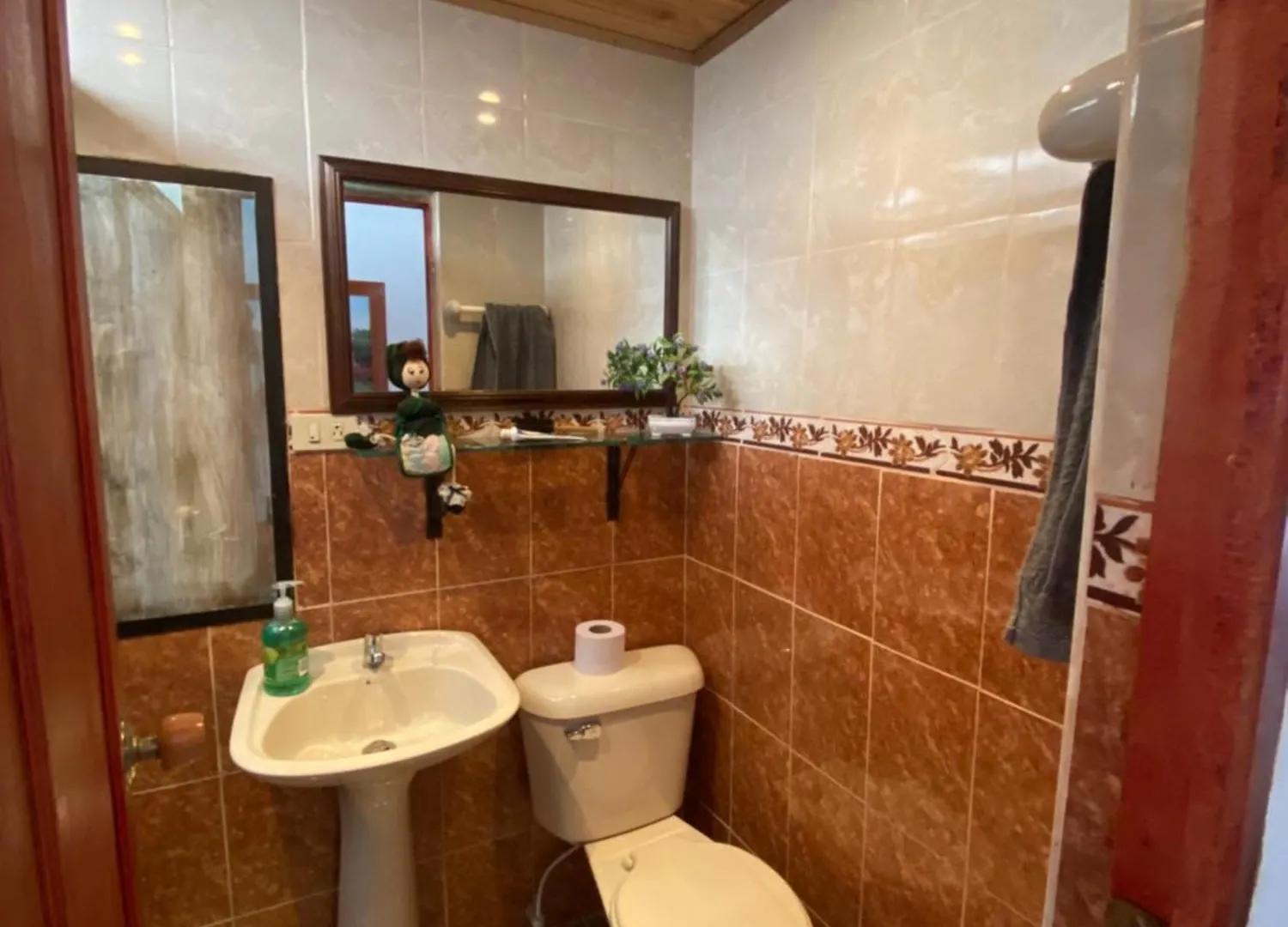 Villa Ligia Медельин Дом отдыха